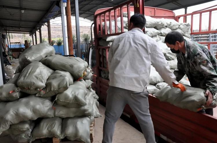 1584700862673144.jpg 640.webp.jpg